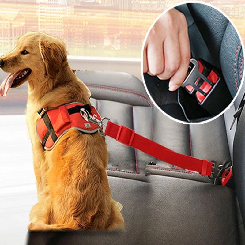 Adjustable Pet Car Seat Belt – Safety Harness & Lead