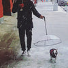 Dog Transparent Umbrella with Traction Chain – Pet Raincoat