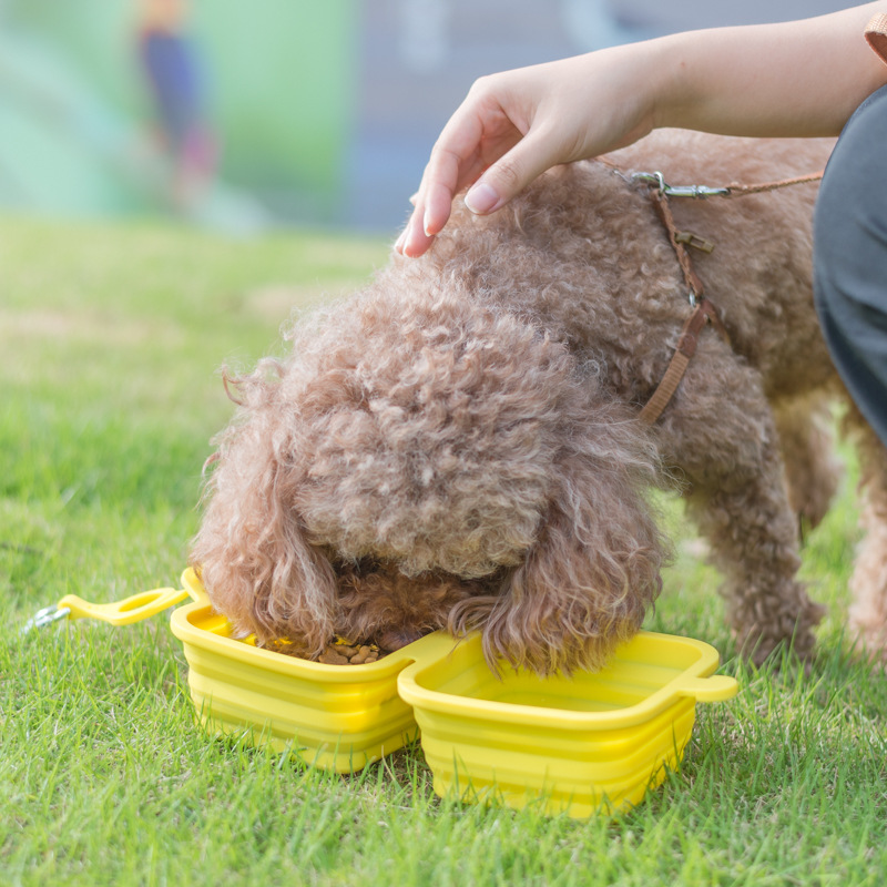 Portable Collapsible Bowls for Dogs & Cats - Easy to Clean & Travel