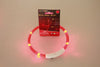 USB Rechargeable LED Pet Collar – Night Safety