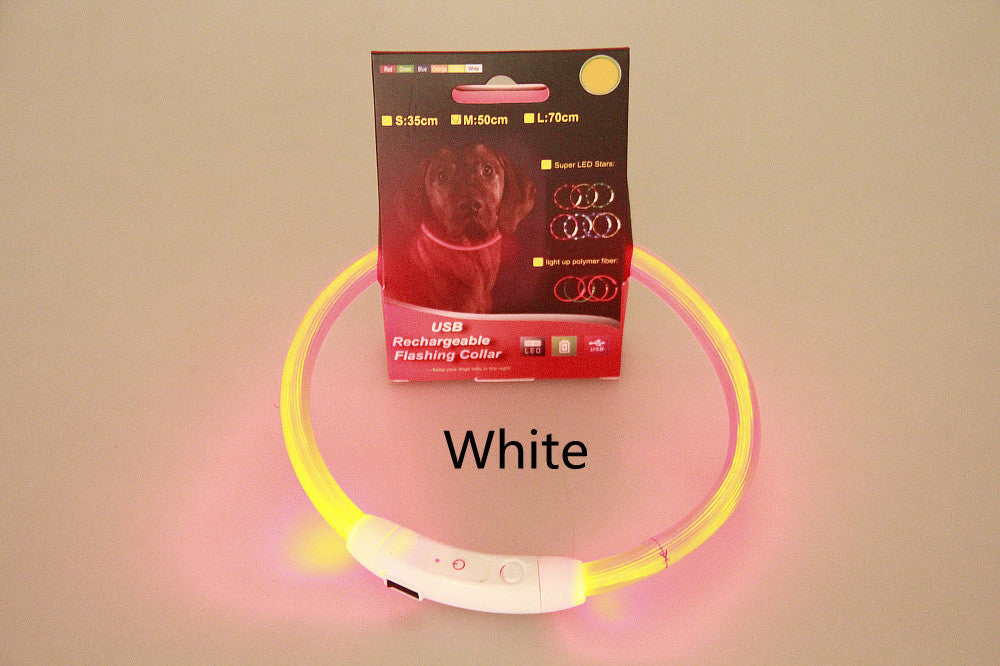 USB Rechargeable LED Pet Collar – Night Safety