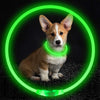USB Rechargeable LED Pet Collar – Night Safety