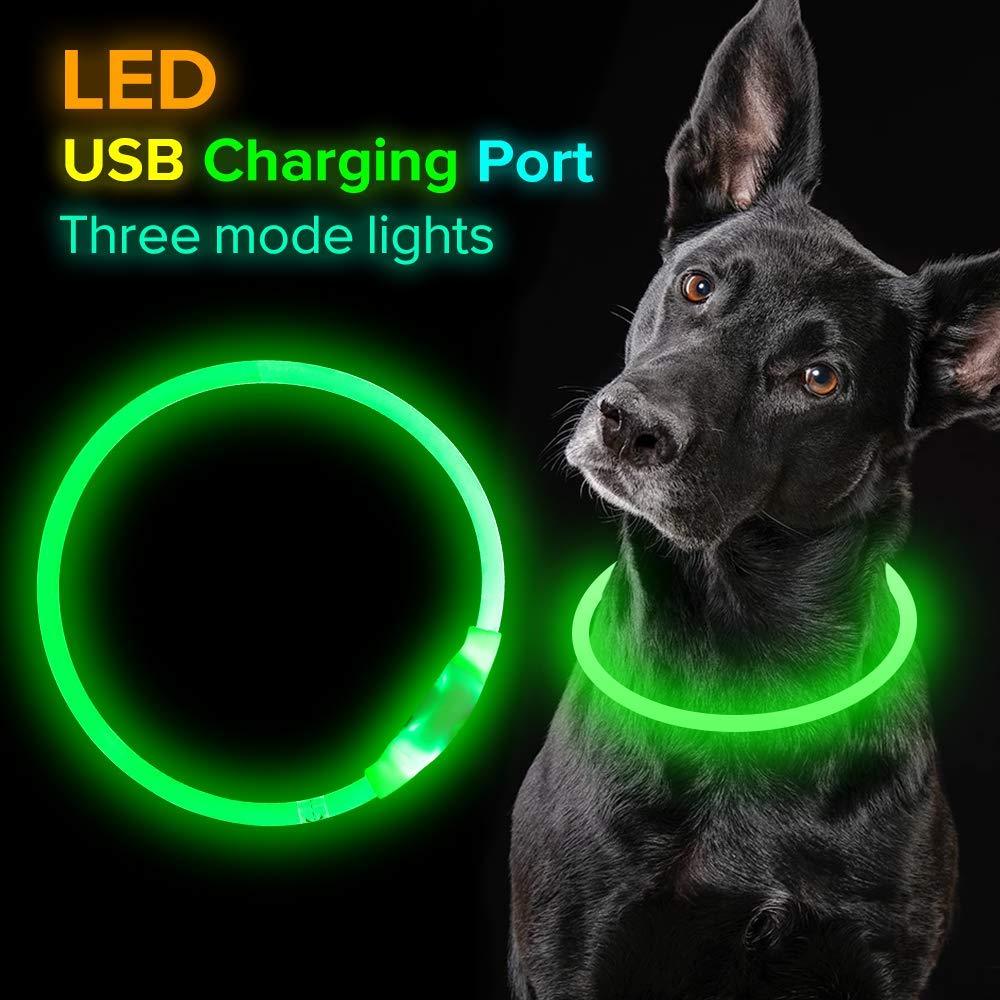 USB Rechargeable LED Pet Collar – Night Safety