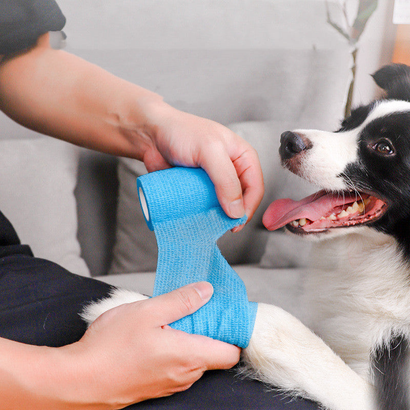 Outdoor Dog Mat – Dirt Prevention for Pets