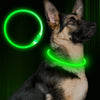 USB Rechargeable LED Pet Collar – Night Safety