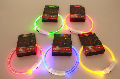 USB Rechargeable LED Pet Collar – Night Safety